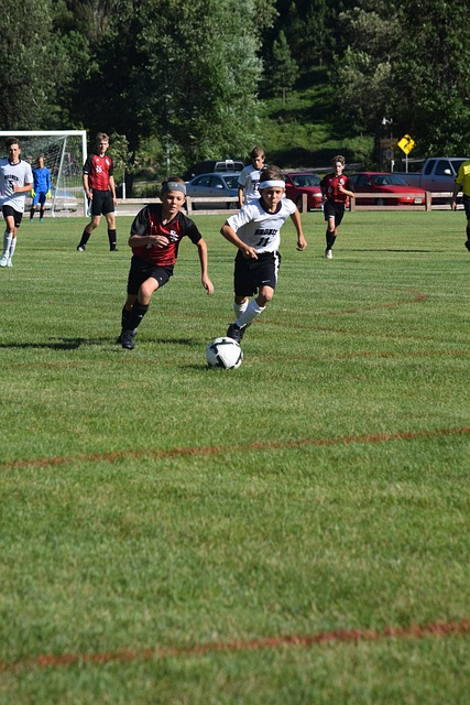 出强大的竞 出强大的竞