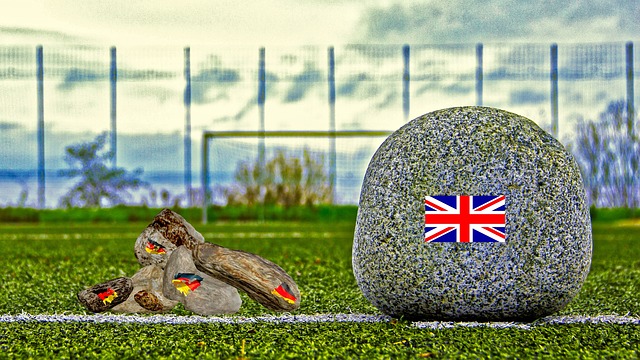 老将带来了 老将带来了