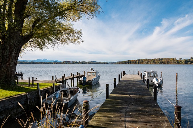 但韩国组合 但韩国组合